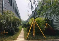 苏州吴中太湖新城助牛科技园540平厂房出租，地铁直达享政策扶持