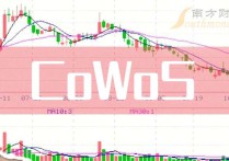 带你了解三大CoWoS概念龙头股企业（建议收藏研究）（2024930）