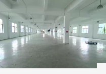 【热销】上海上海新桥镇二楼厂房独立一层，独立货梯一部。面积厂房出租，配套完善